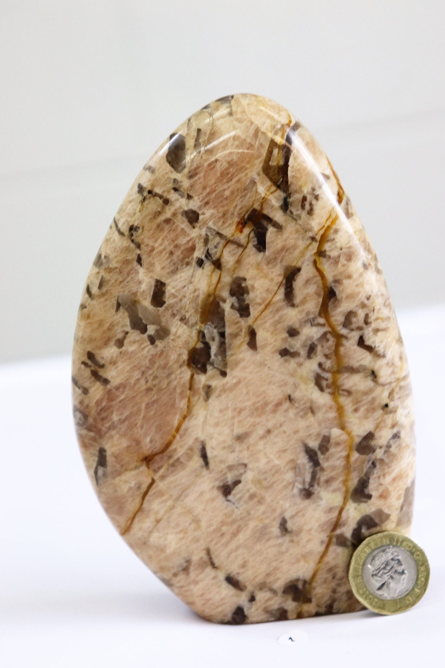 1) Zedbradorite Crystal Freeform - Feldspar + Smoky Quartz From Madagascar