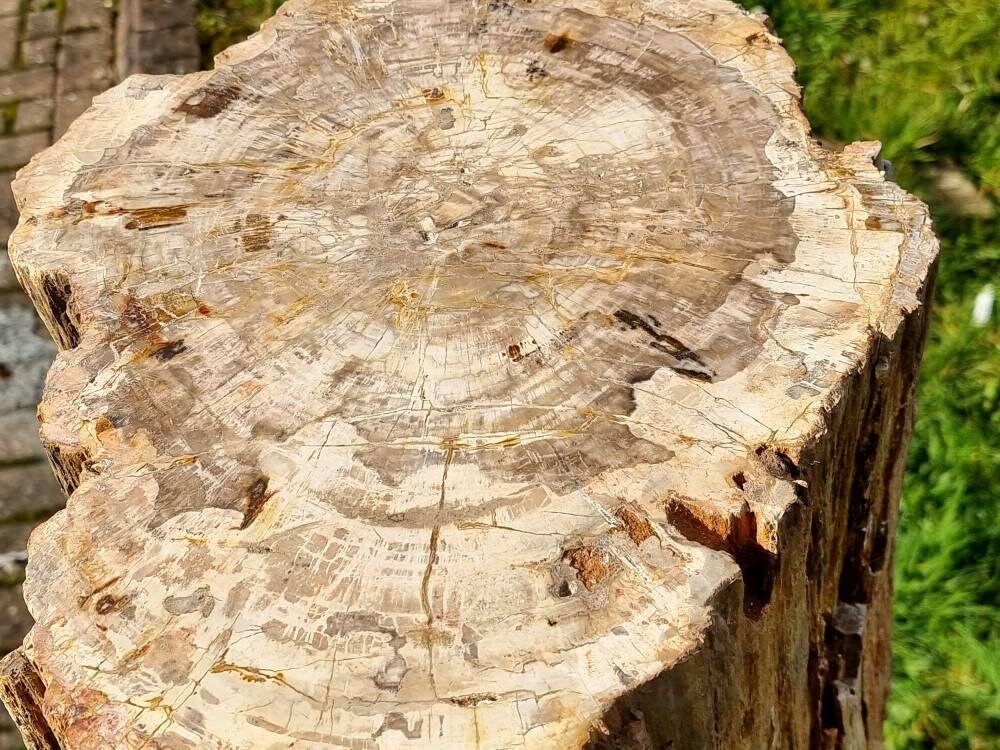 unique garden decor