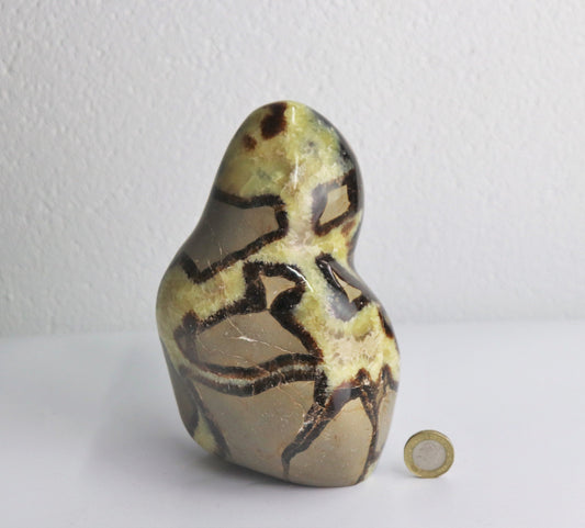 32) Large Septarian Yellow Calcite Crystal