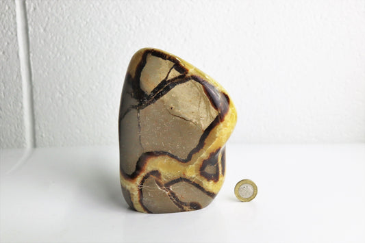 17) Large Septarian Calcite Crystal