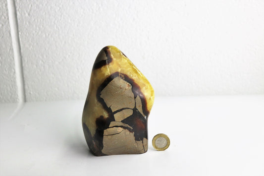 14) Large Septarian Calcite Crystal
