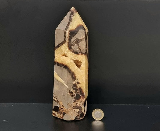 6) Large Septarian Crystal Prism