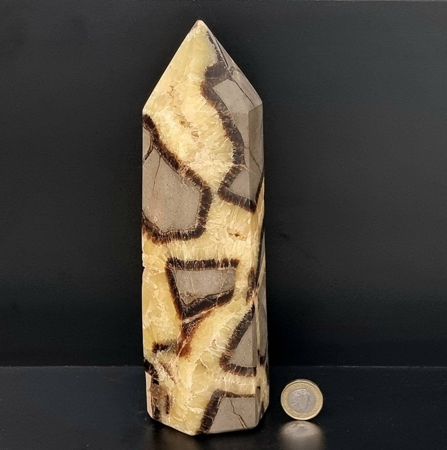 6) Large Septarian Crystal Prism