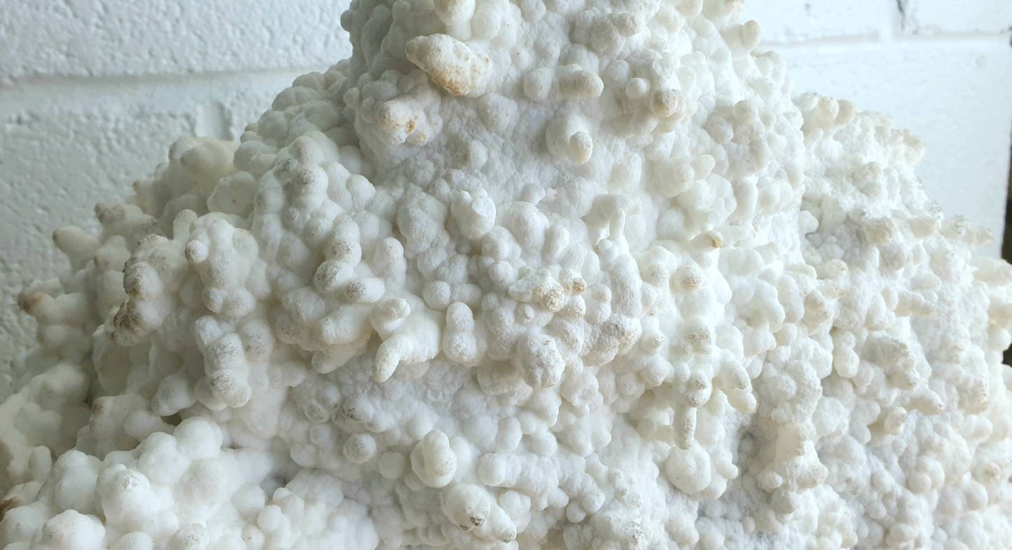 8) Extra Large Cave Calcite Crystal Unique Home Decor 13.6KG