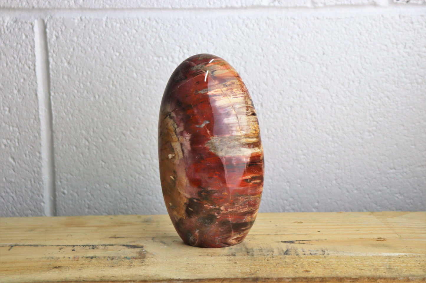 2) Fossil Wood Crystal Polished Freeform