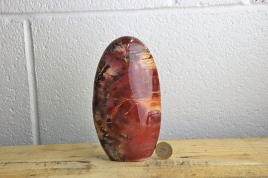 2) Fossil Wood Crystal Polished Freeform
