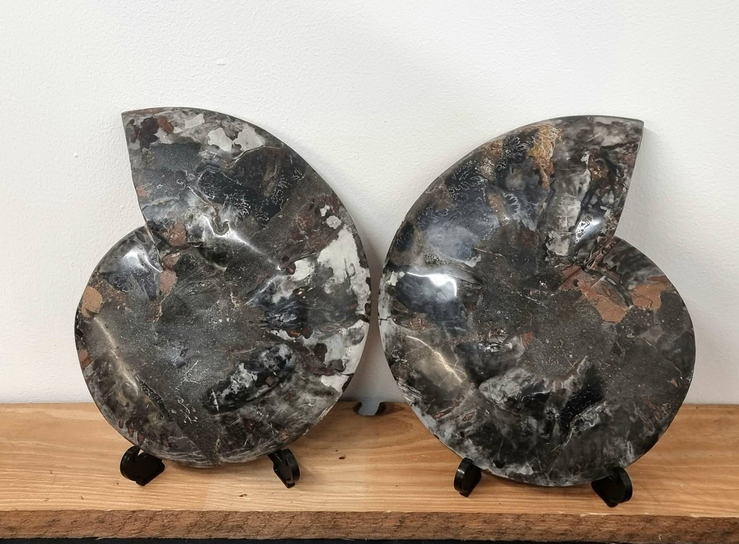 35) Large Black Ammonite Fossil Pair