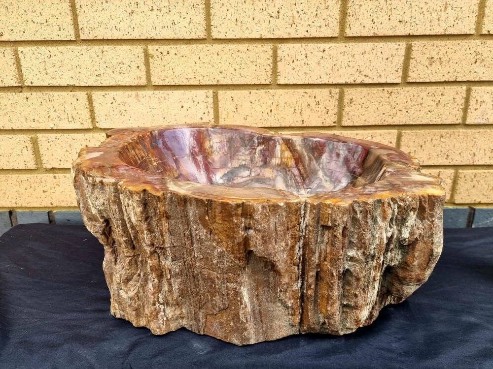 Extra Large Petrified Wood Bowl  35 KG Unique Home Decor Natural Art