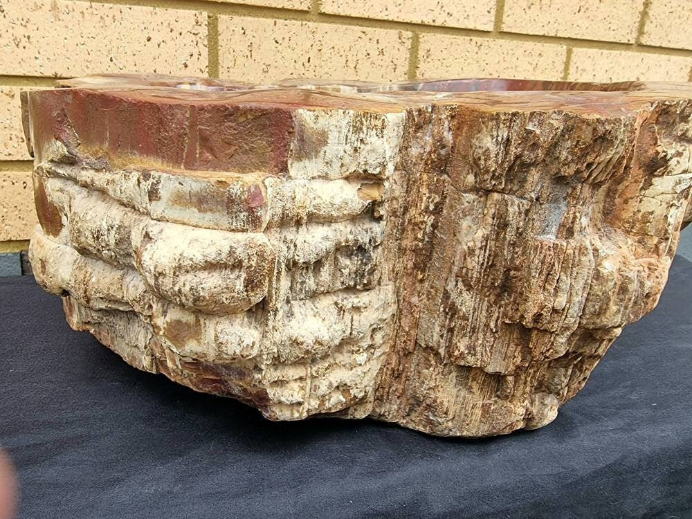 Extra Large Petrified Wood Bowl  35 KG Unique Home Decor Natural Art