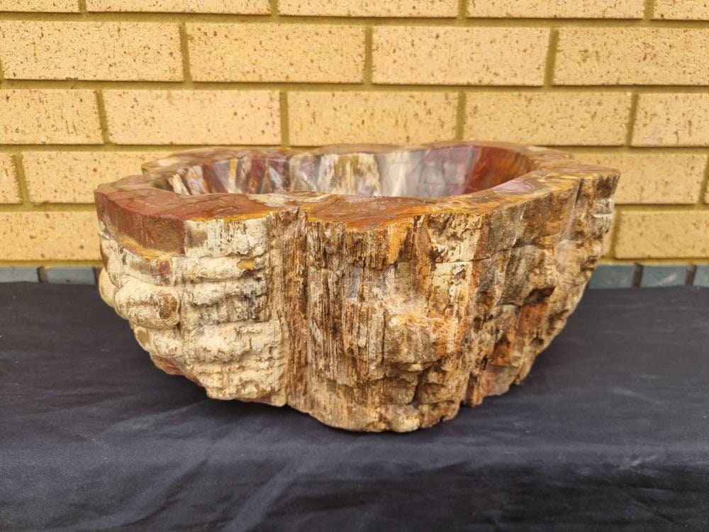 Extra Large Petrified Wood Bowl  35 KG Unique Home Decor Natural Art