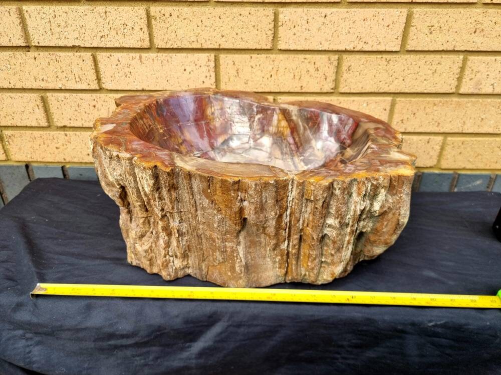 Extra Large Petrified Wood Bowl  35 KG Unique Home Decor Natural Art