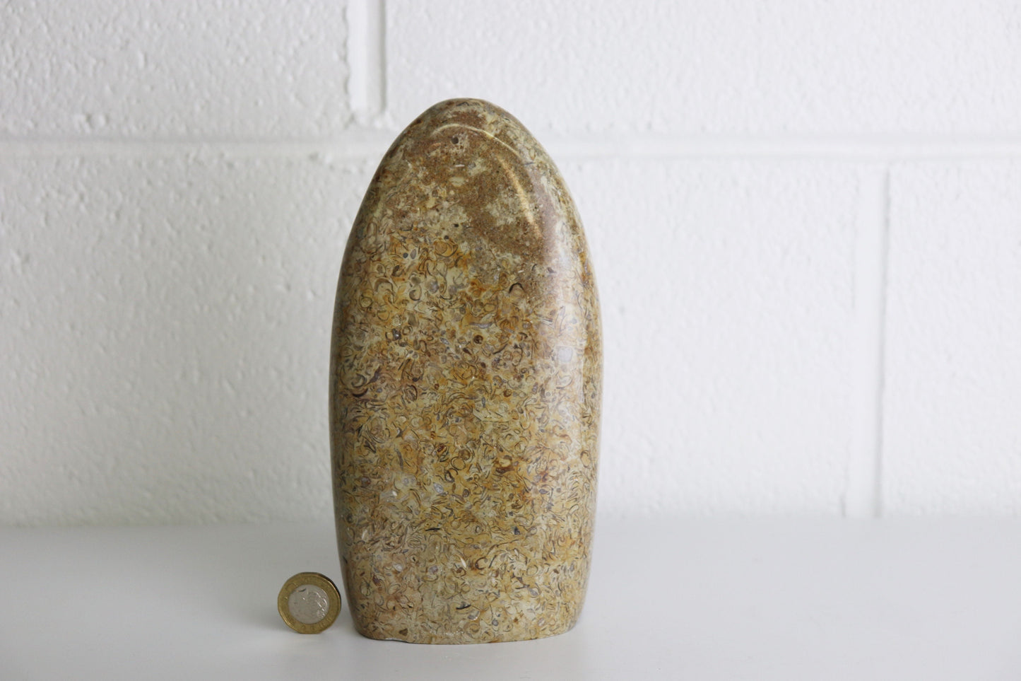 6) Large Coquillage Shell Jasper Crystal Ornament