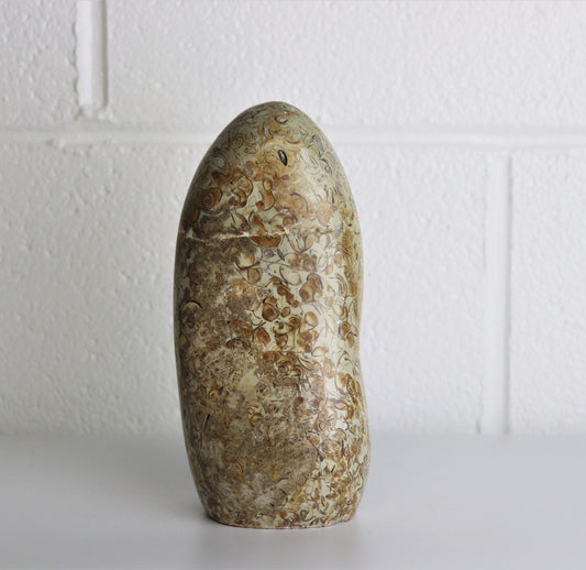 2) Coquillage Shell Jasper Crystal Ornament