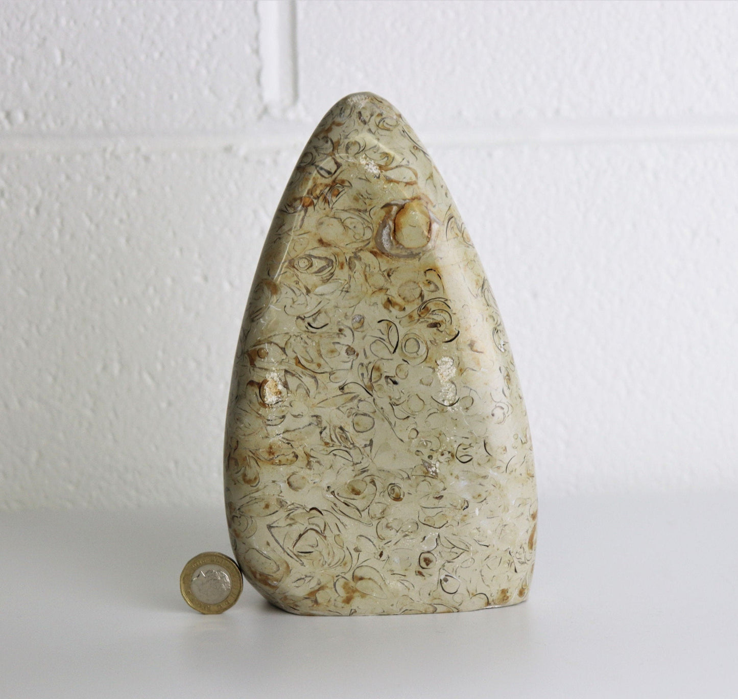4) Large Coquillage Shell Jasper Crystal Ornament