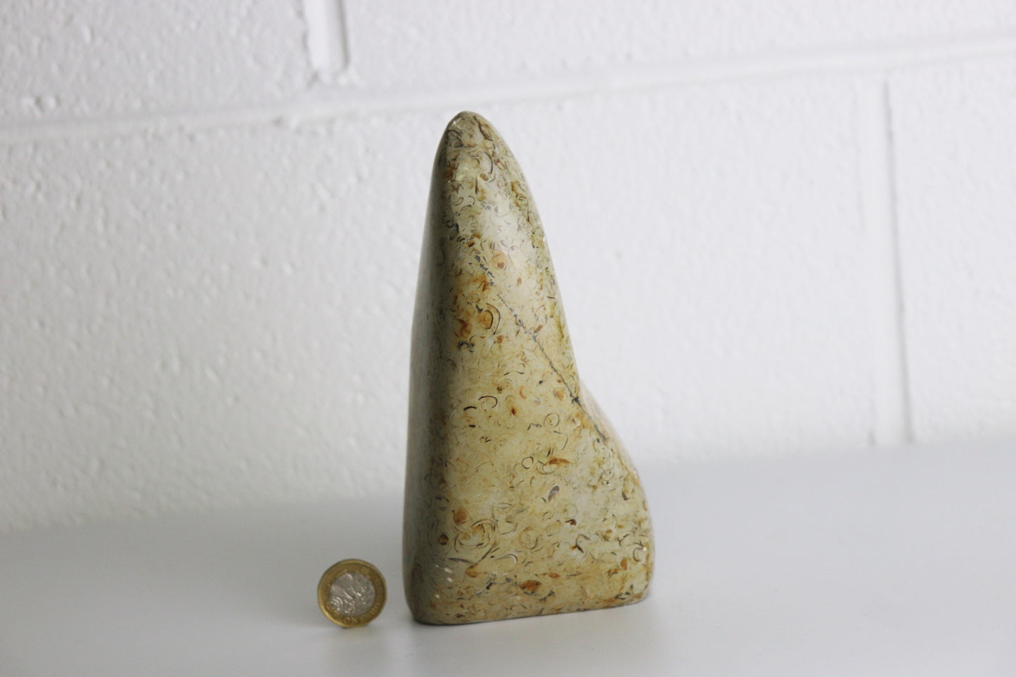 7) Large Coquillage Shell Jasper Crystal Ornament