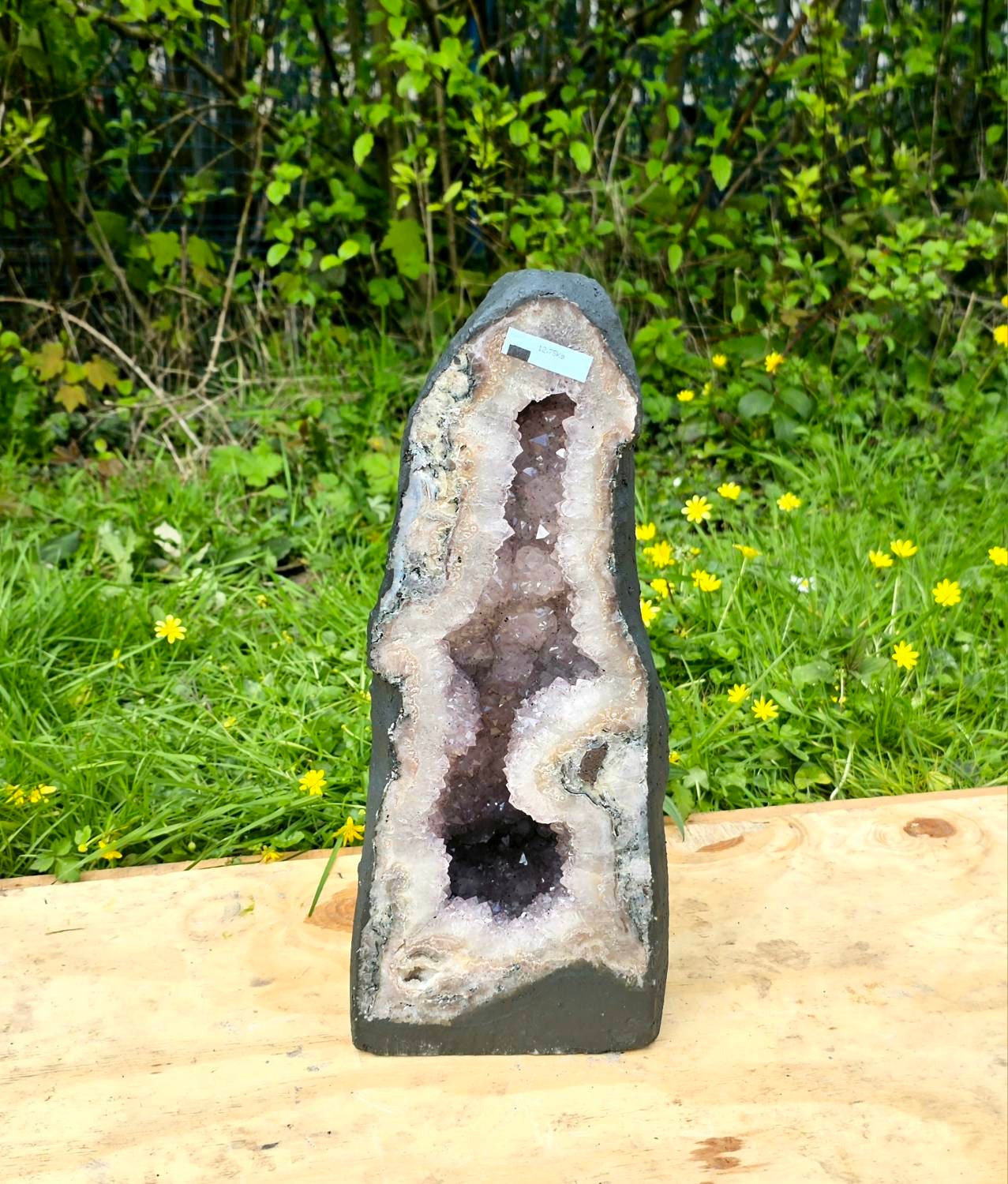 Large Brazilian Amethyst Crystal Church Geode