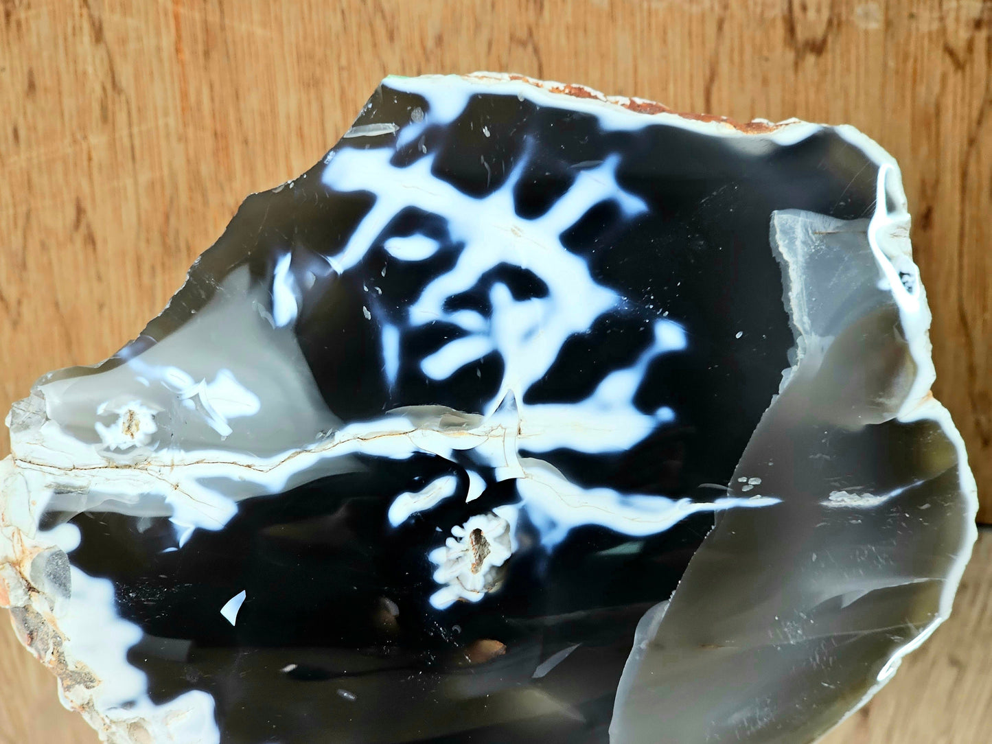 Orca Agate Crystal  (#6)