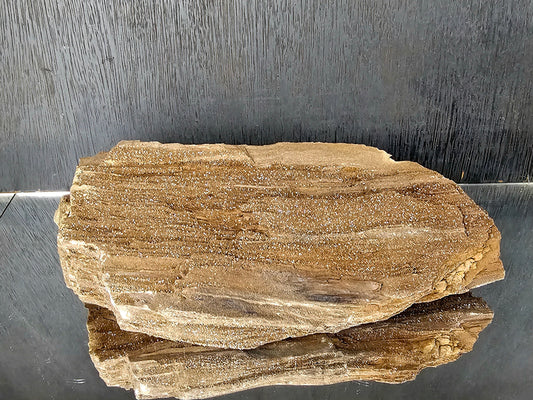 Petrified Wood With Quartz Druzy Outstanding quality covered in Quartz, druzy, would make for fantastic home or office decor a very unique display piece. From Zwenkau, Leipzig , Saxony Germany the site is no longer accessible and the pit has been flooded