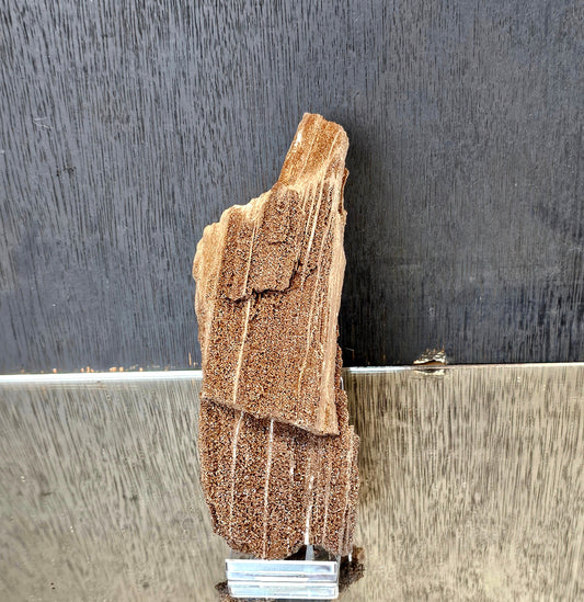 Petrified Wood With Quartz Druzy Outstanding quality covered in Quartz, druzy, would make for fantastic home or office decor a very unique display piece. From Zwenkau, Leipzig , Saxony Germany the site is no longer accessible and the pit has been flooded