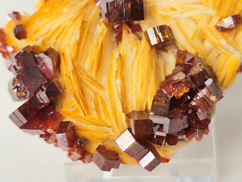 burnt orange vanadinite crystal on baryte atlas